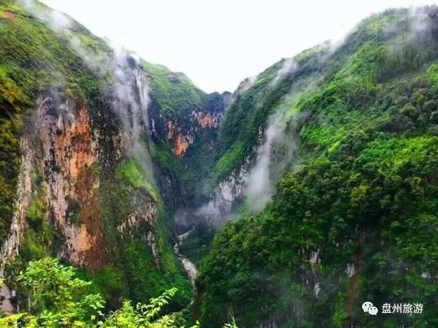 快刺水果